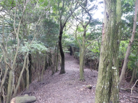画像24